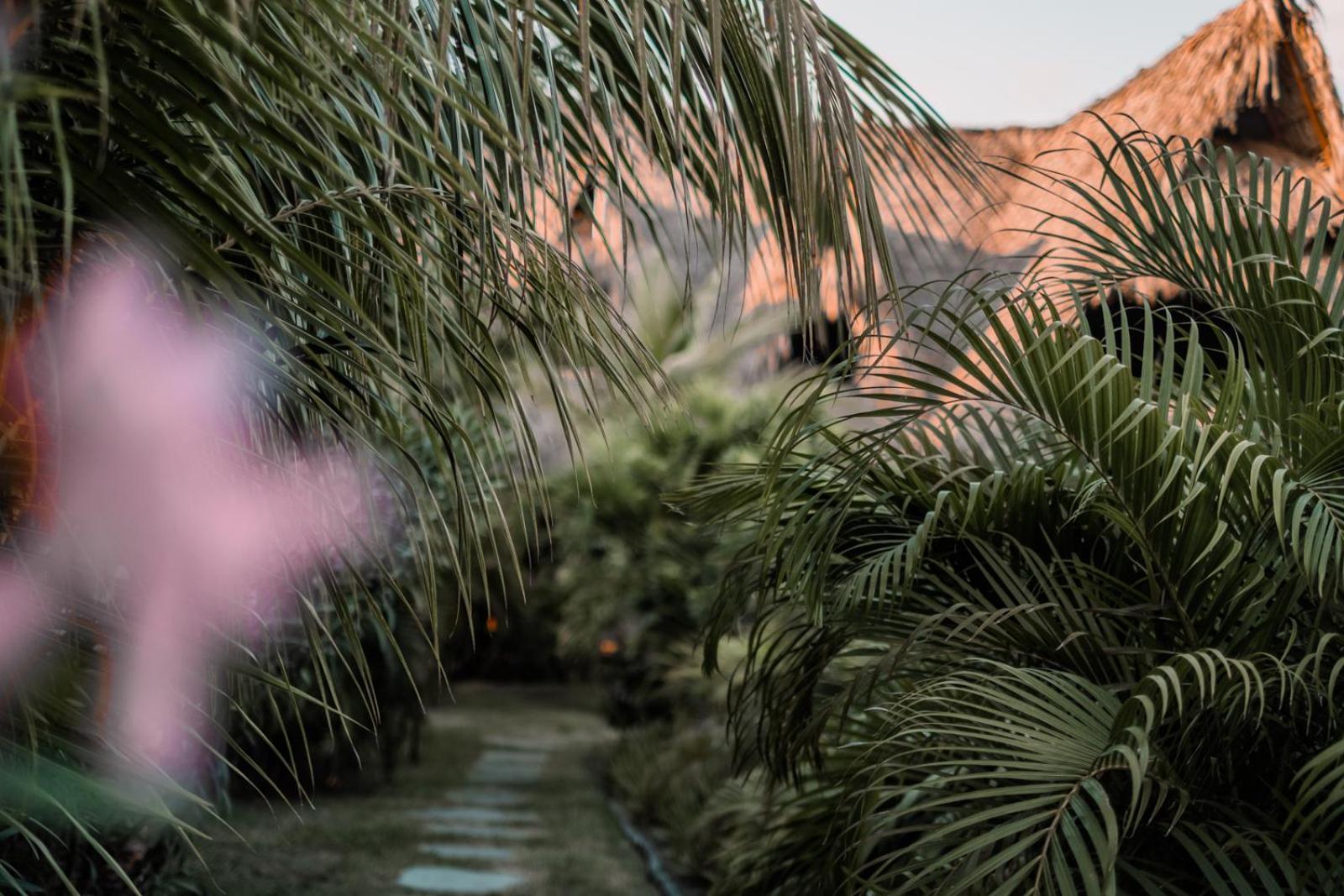 Swell Hotel El Paredon Buena Vista ภายนอก รูปภาพ