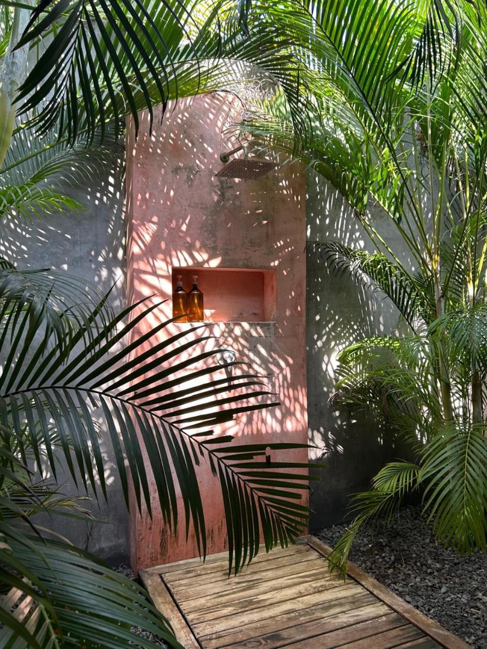 Swell Hotel El Paredon Buena Vista ภายนอก รูปภาพ